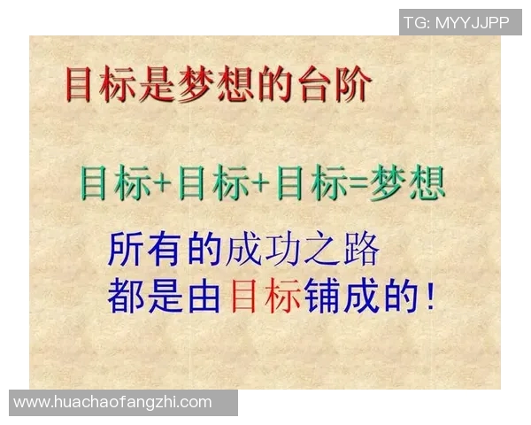 探索体育培训班加盟连锁的成功之路助力创业者实现梦想与财富双丰收